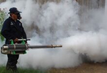 Diamond Pest Control